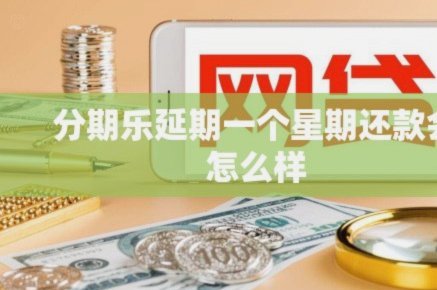分期乐新阶段：稳健发展与挑战 coexist