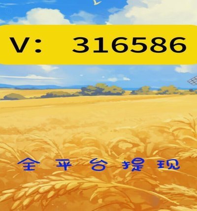 羊小咩花卡额度提额攻略