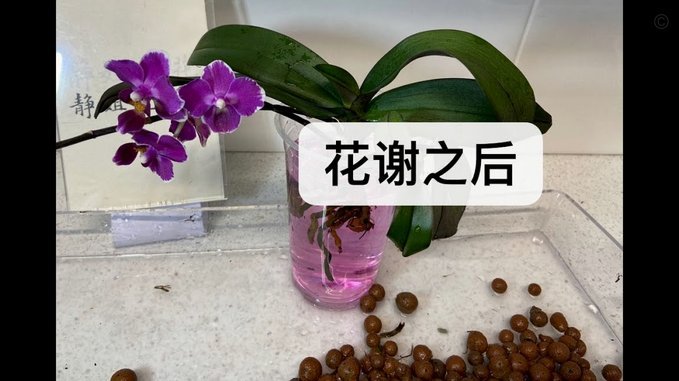 套花呗有啥用