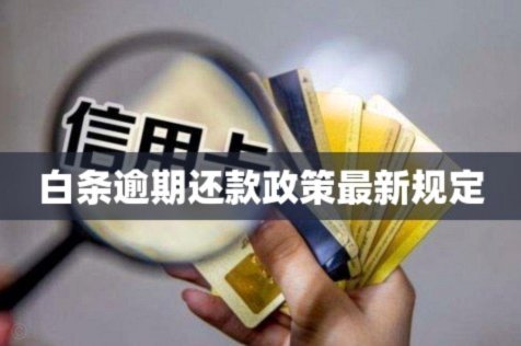 白条逾期协商延期攻略