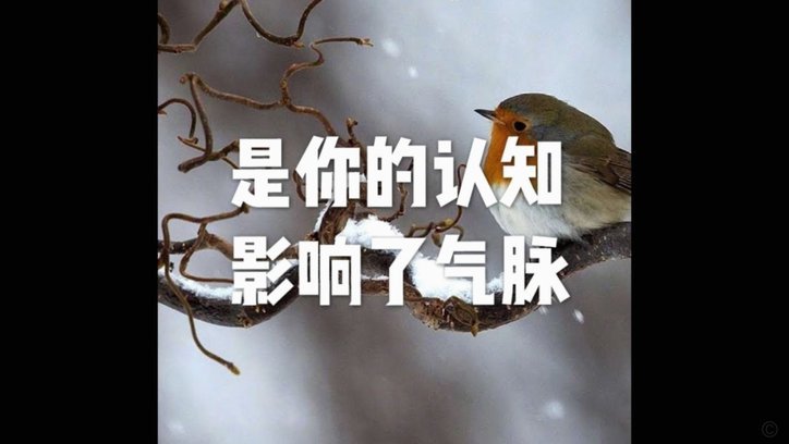 分付套现影响探析