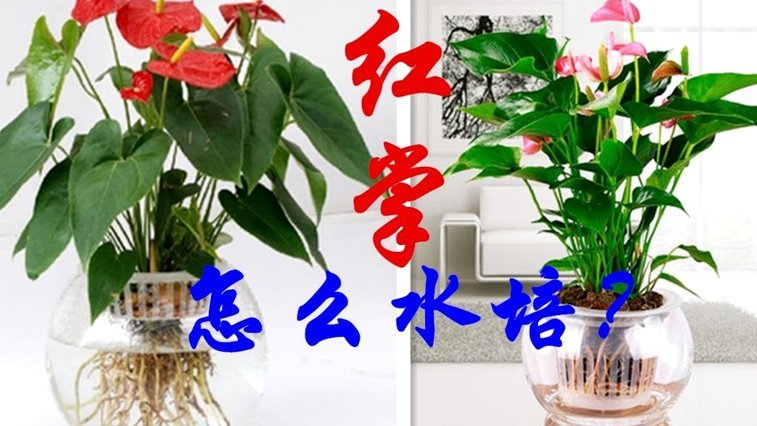 花呗分期实用技巧