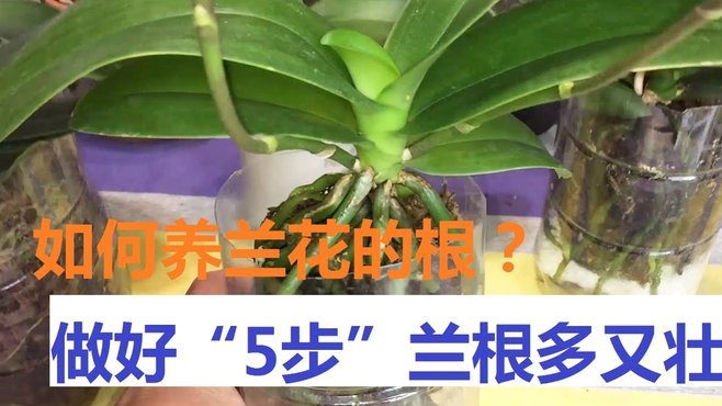 携程拿去花如何提前还款