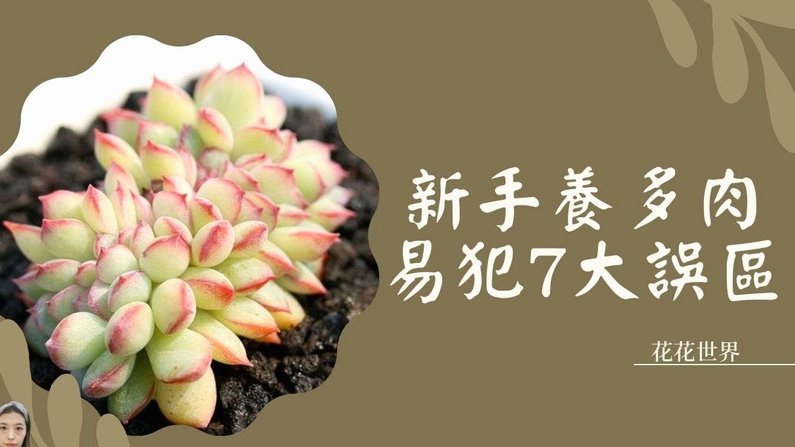 如何从花呗提现红包到支付宝