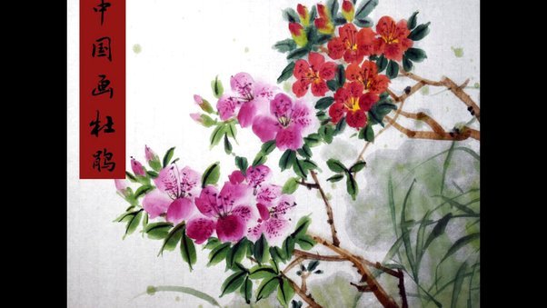 花呗套现现象：生态漏洞与灰色平台