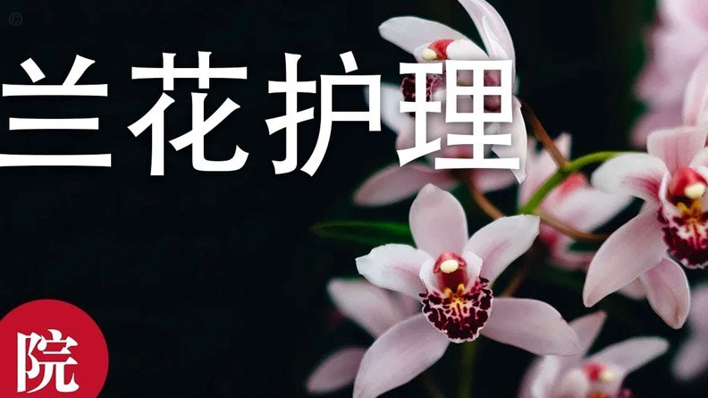 花呗转现平台 现在还有吗