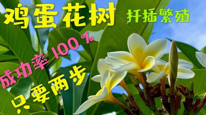 套现花呗需要手续费吗现在