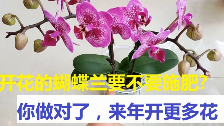套现花呗需要手续费吗现在