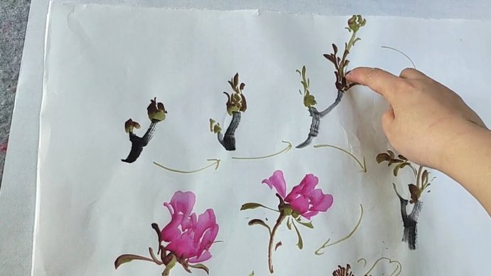 花呗如何提现出来
