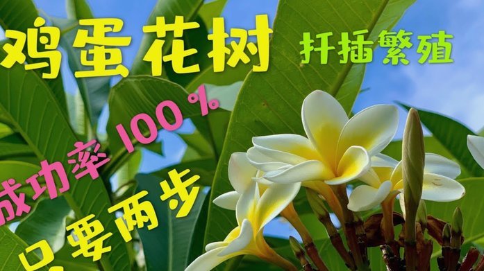 携程拿去花可以取现吗