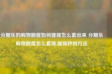 拿去花卡可以提现吗 套现