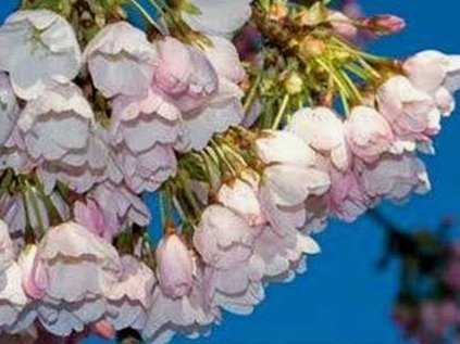 去哪 拿去花
