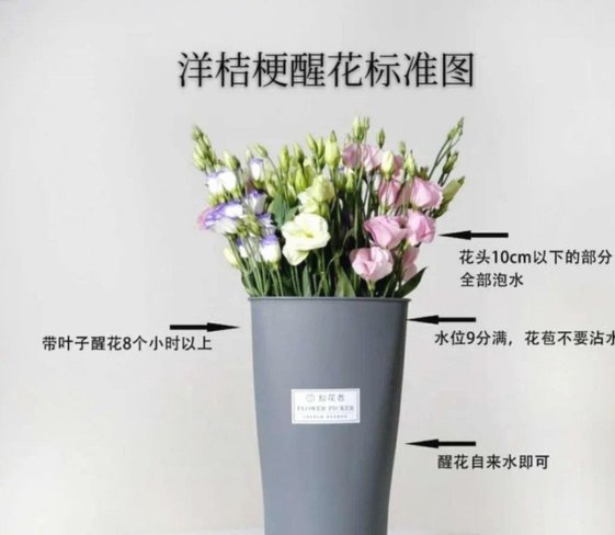 花朵嫁接可行吗？