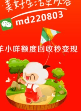羊小咩便荔卡额度如何合理获取与维护