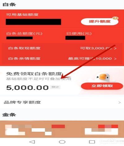 白条加油额度详解及操作指南