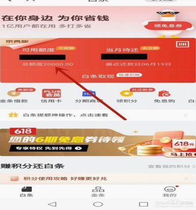 白条加油额度是什么意思