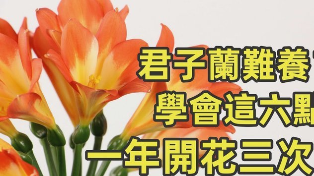 “拿去花”套现风险大吗？举报指南