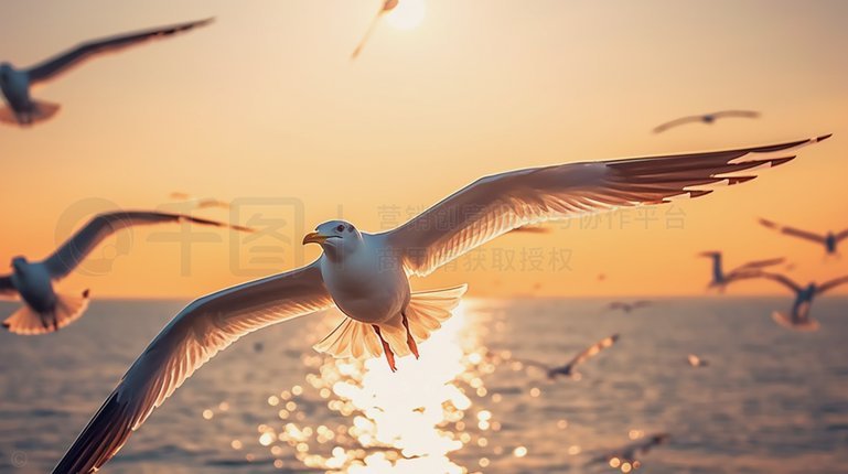 如何安全注销海鸥花呗账户？