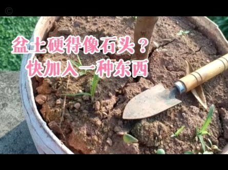 携程拿去花如何兑换优惠体验