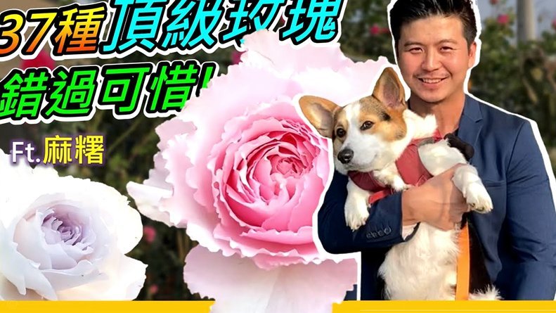 揭秘花呗秒到平台，高风险需警惕