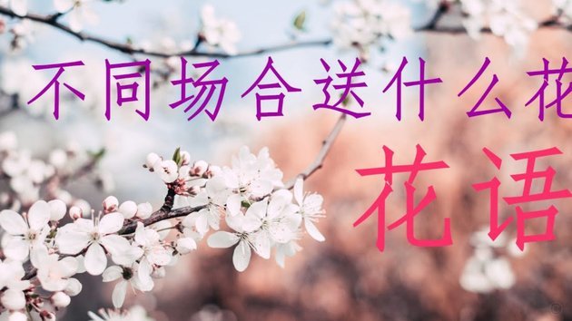 如何巧妙管理花呗额度优化资金流动