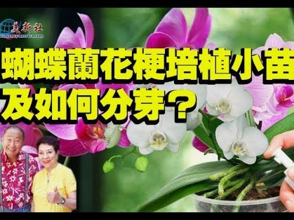 花呗套现手续费知多少？警惕风险成本高