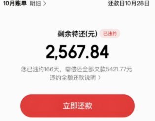 白条变现