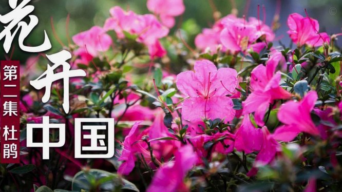 携程拿去花如何提额