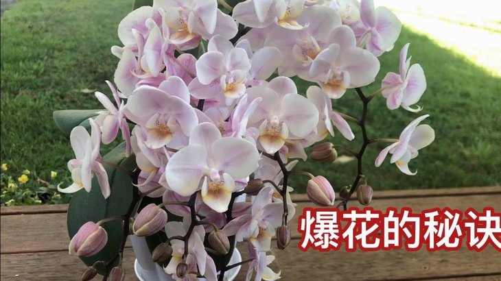 花呗秒套平台怎么样可靠吗