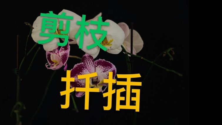 花呗套了1500会被发现吗