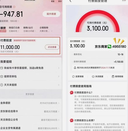 京东白条在哪取现啊