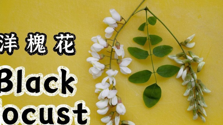 花币套现：技术与市场挑战