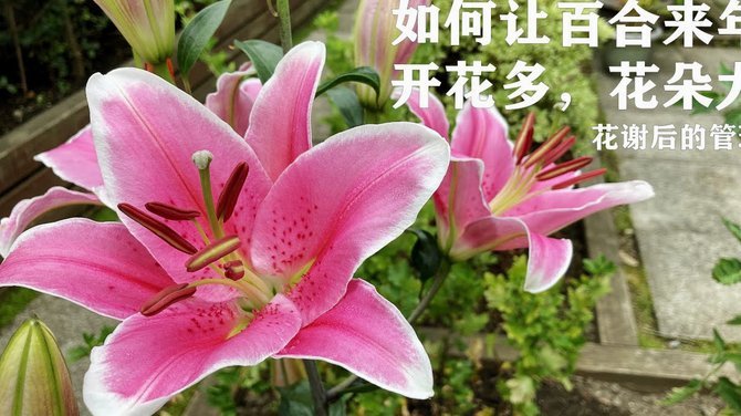 如何灵活运用拿去花的额度