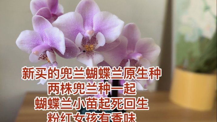 拿去花的额度怎样能够套出来